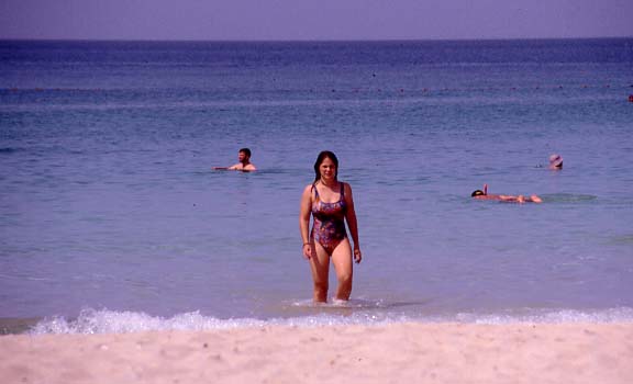 02_strand_susi