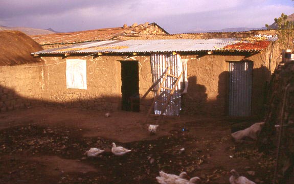 peru_10_12