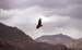 peru_10_07