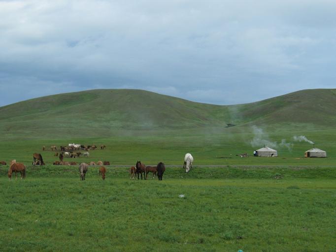 Mongolian landscape