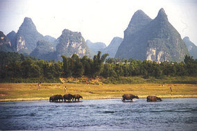 Flussufer Yangshuo