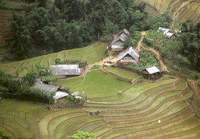 Umgebung von Sapa