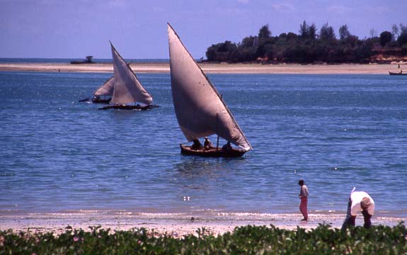 11_dar_segelschiffe1
