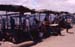 13_dar_fischmarkt