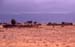 08_masai_dorf