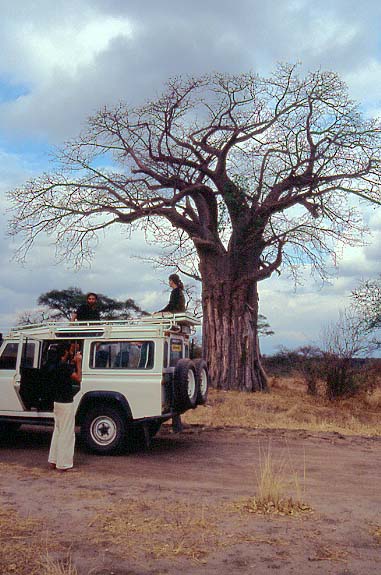 04.1tarangire