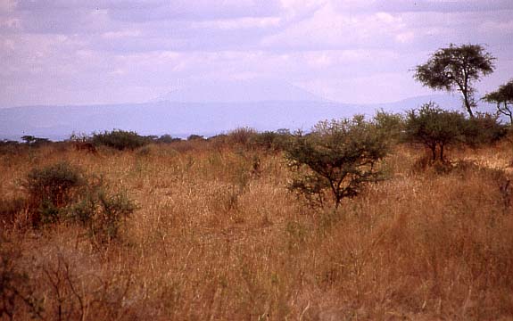 20kilimanjaro_meru