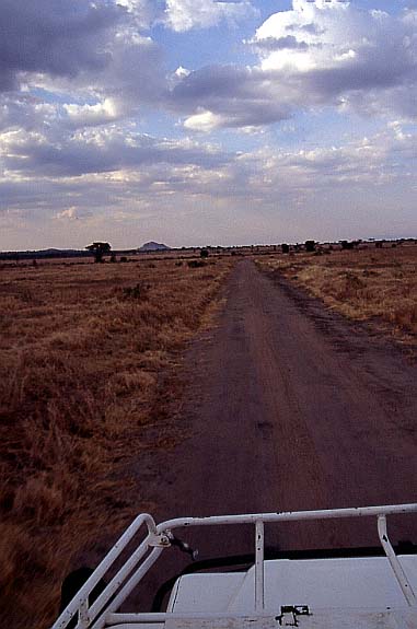 22tarangire