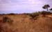20kilimanjaro_meru