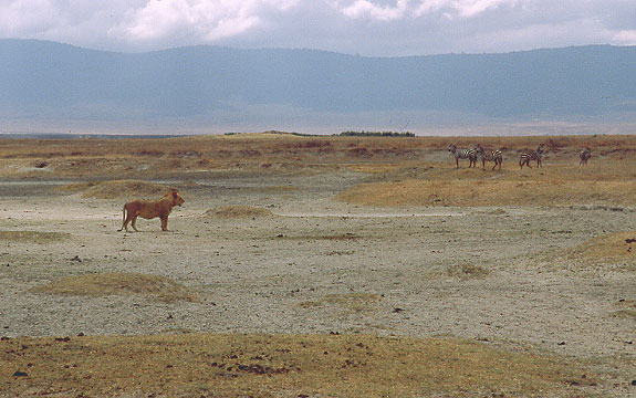 08_Loewen1