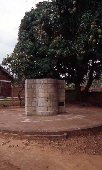 08_Mangobaum